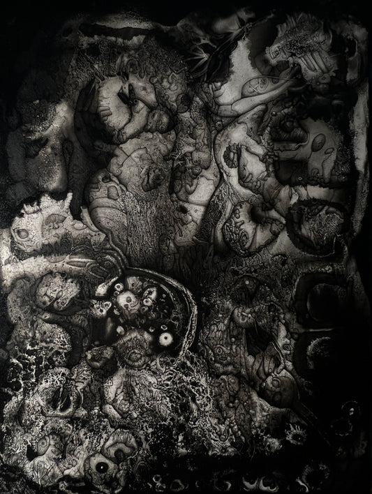 Cleft Bulwark [2025]