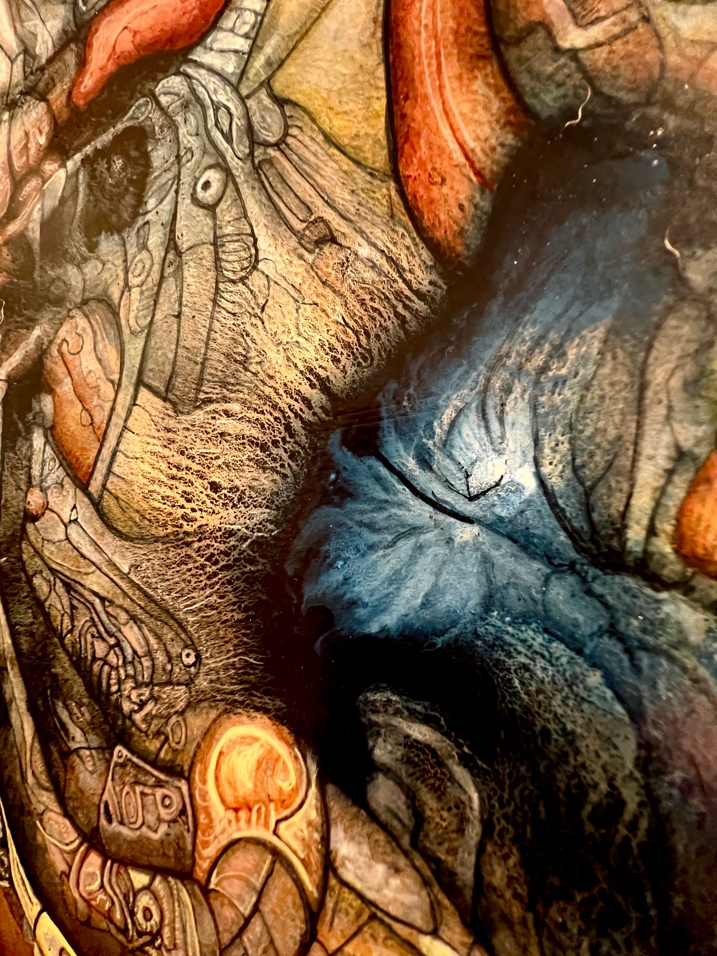 Coddiewomplemorph [2025]