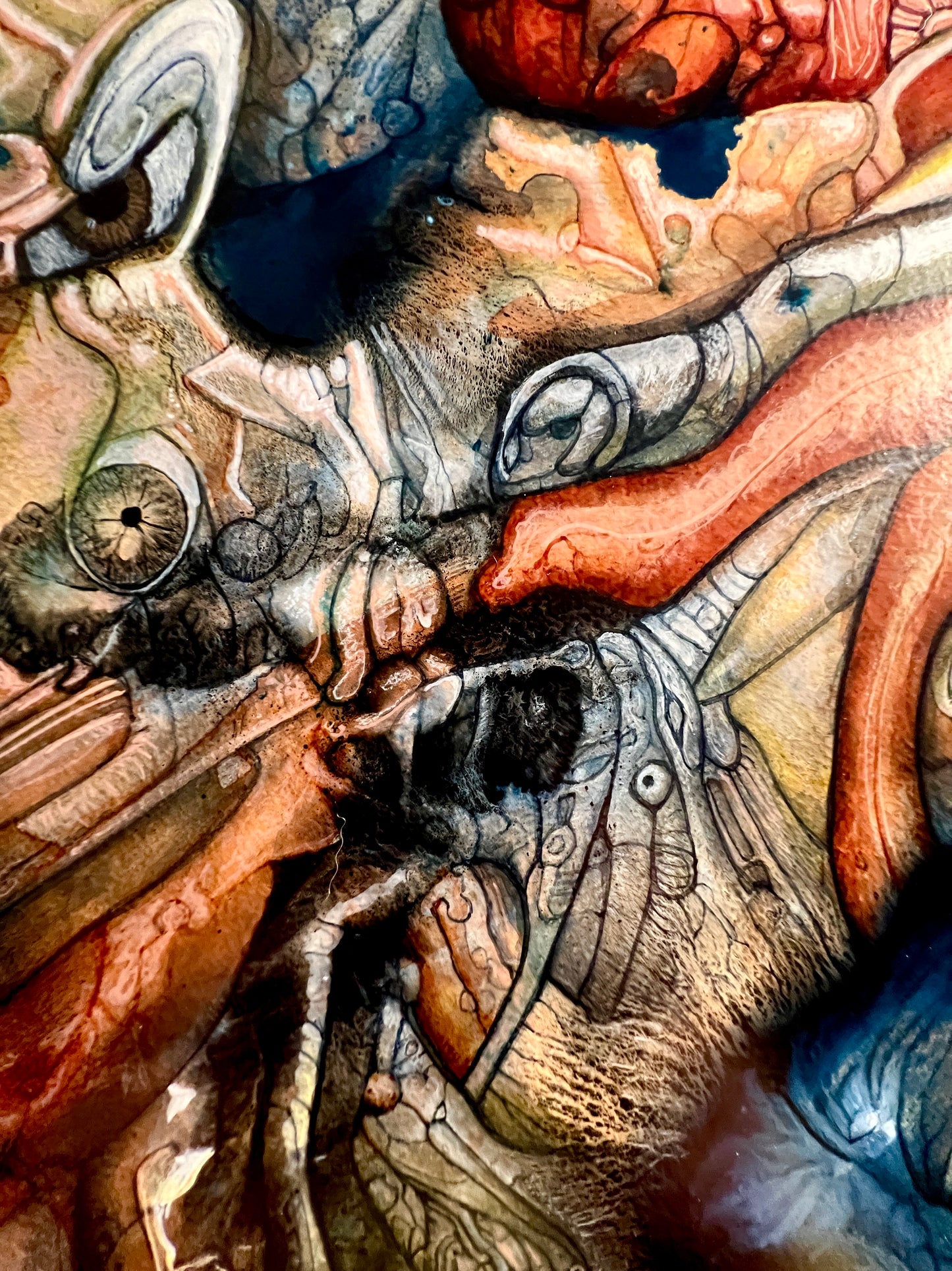 Coddiewomplemorph [2025]