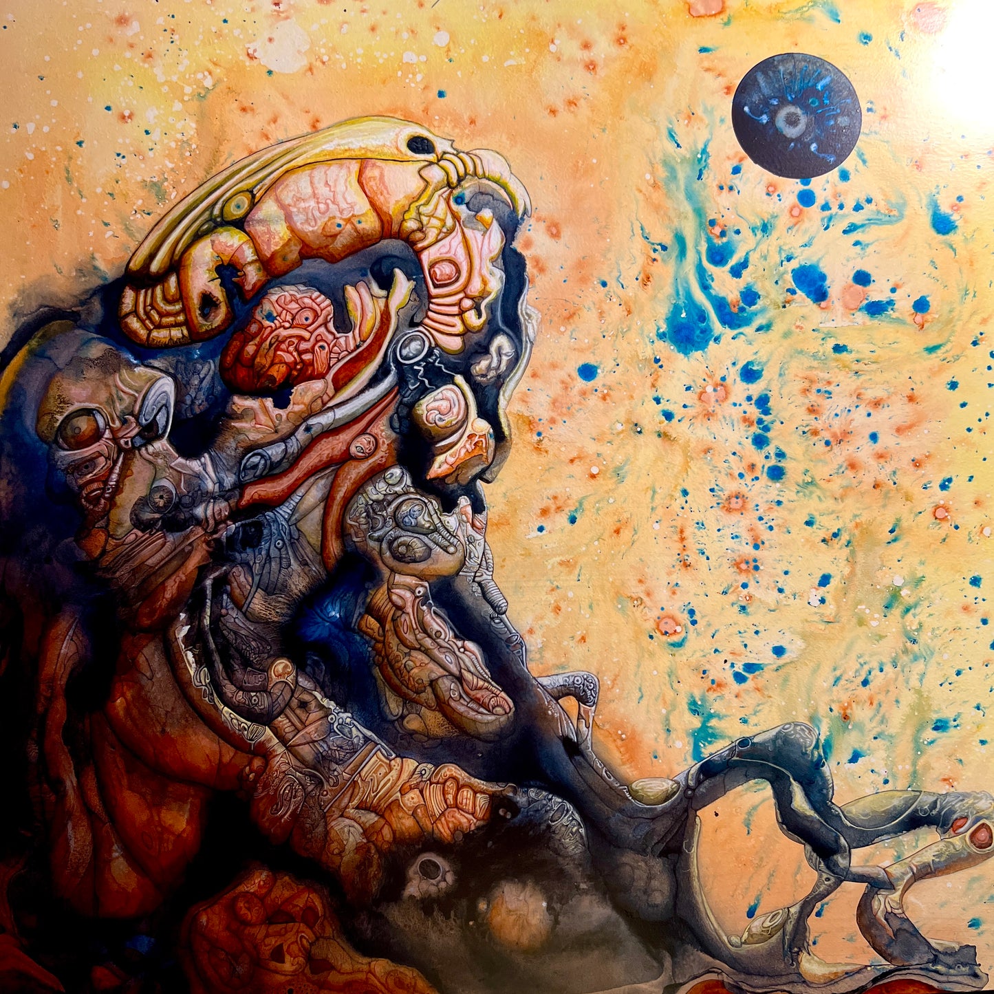 Coddiewomplemorph [2025]