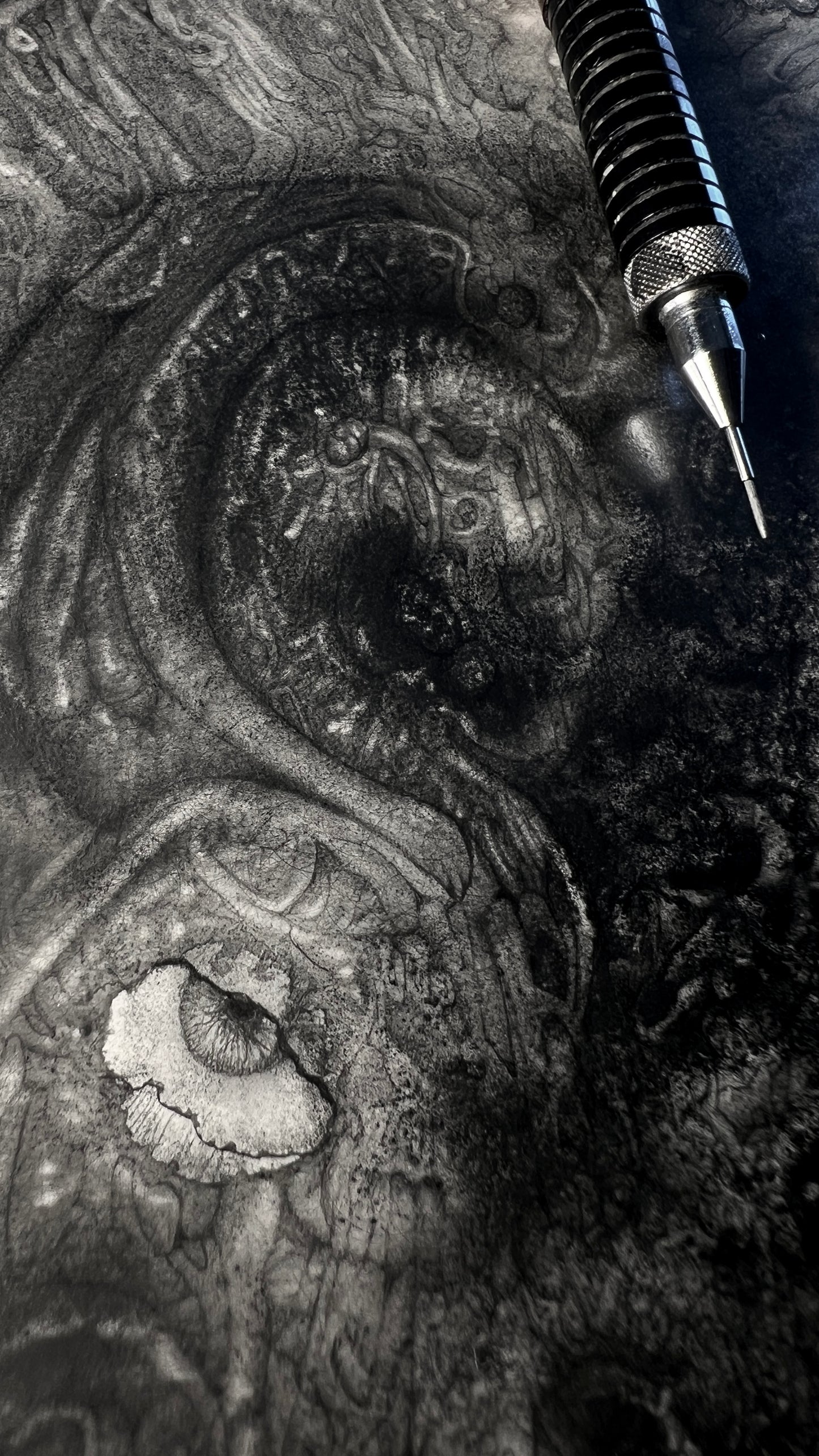 Phantasmagoriamorph [2025]