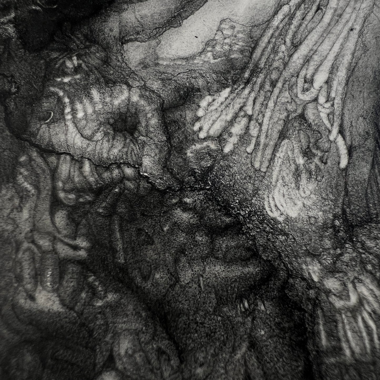 Phantasmagoriamorph [2025]