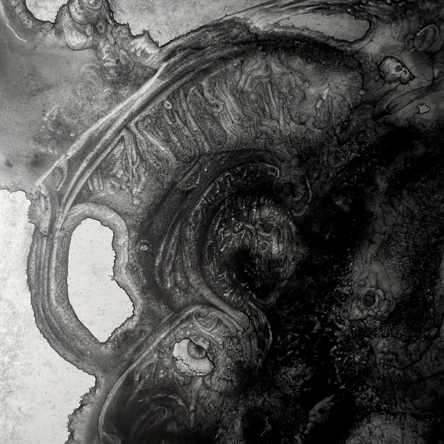 Phantasmagoriamorph [2025]