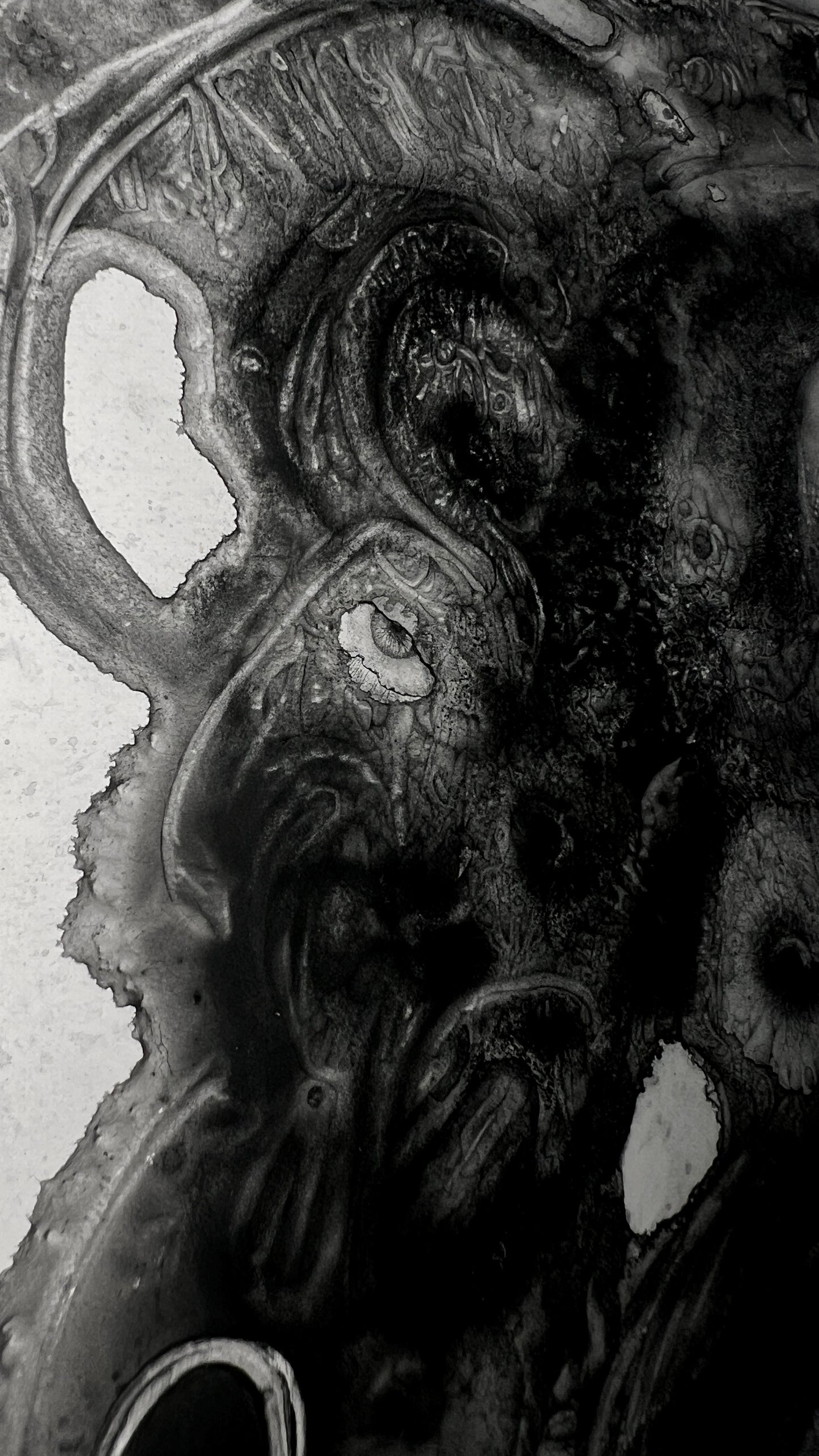 Phantasmagoriamorph [2025]