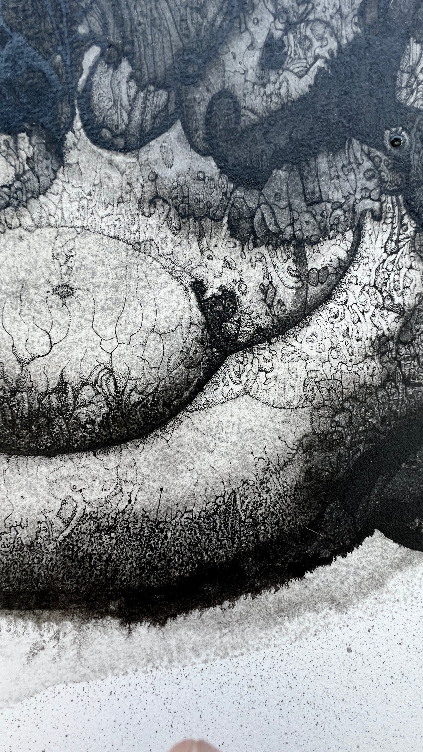 Mephistomorph [2025]