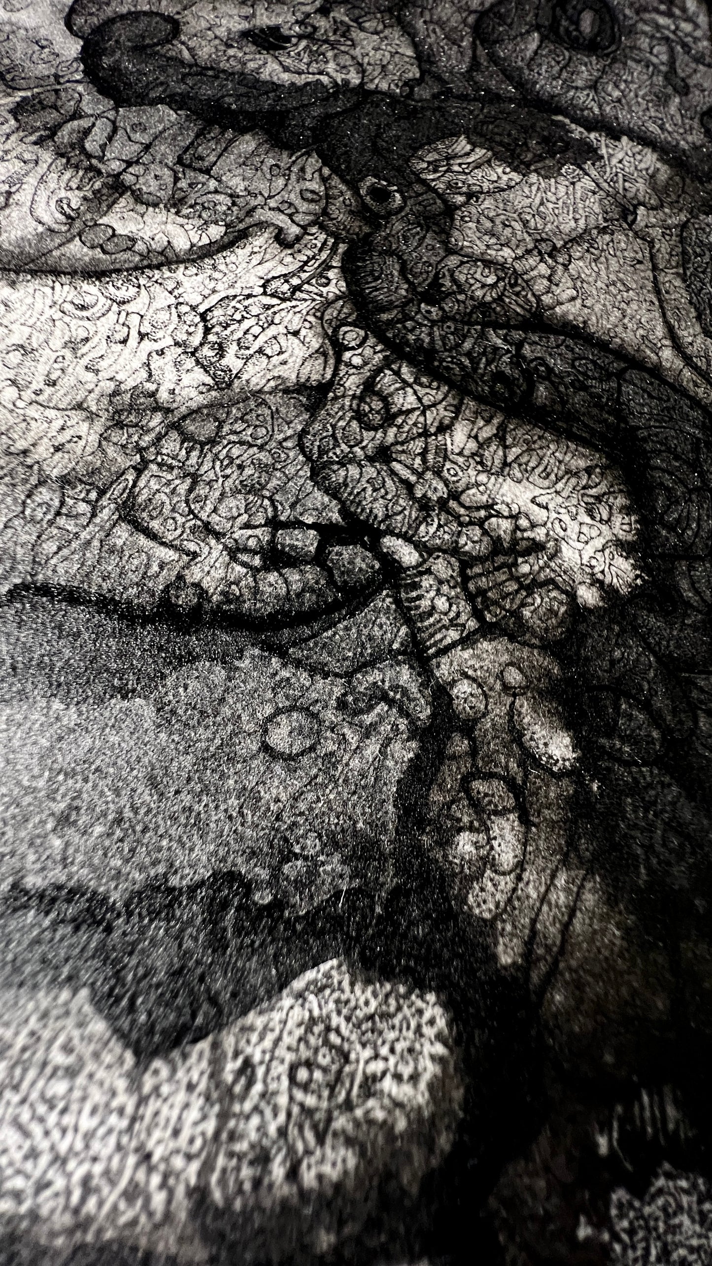 Mephistomorph [2025]