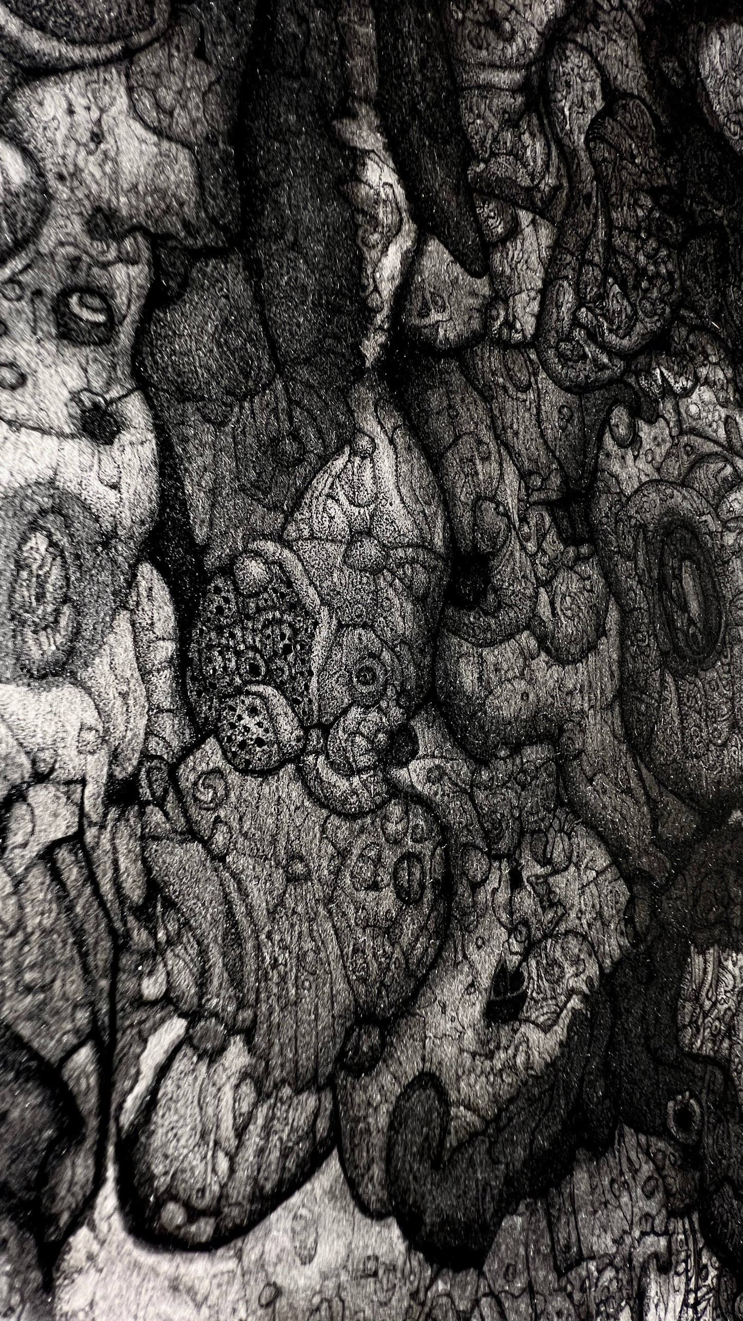 Mephistomorph [2025]