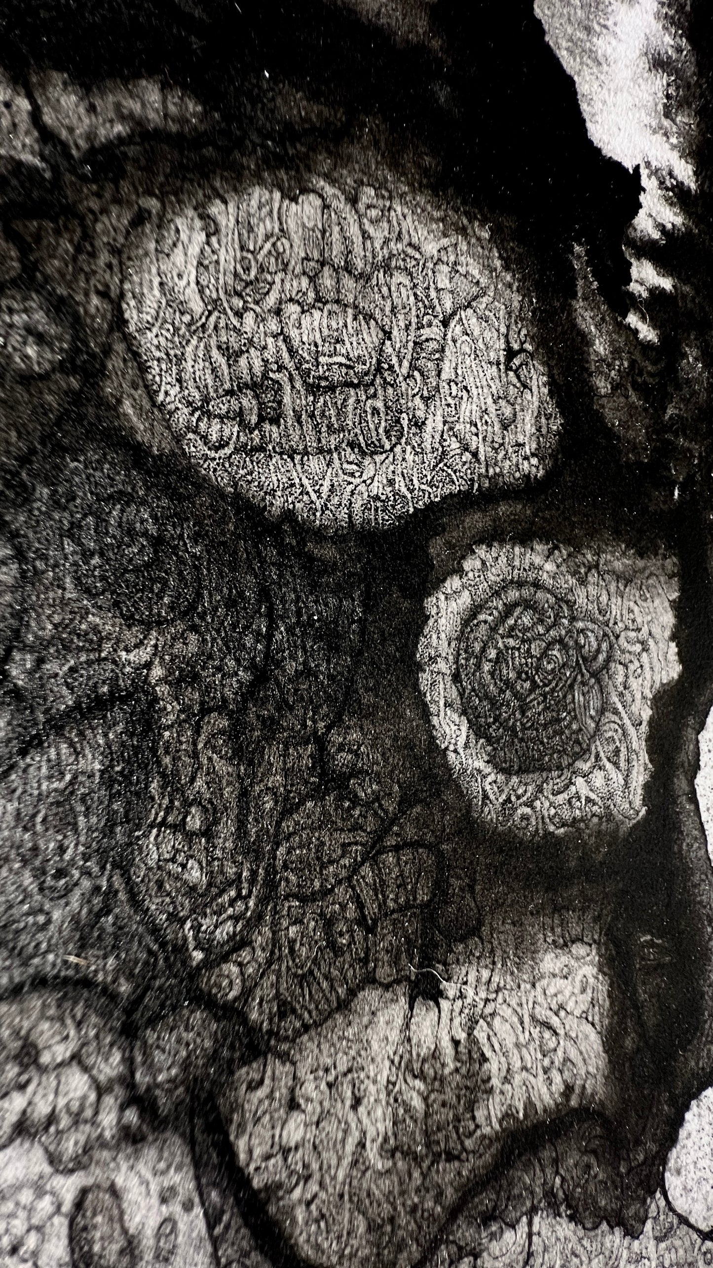 Mephistomorph [2025]