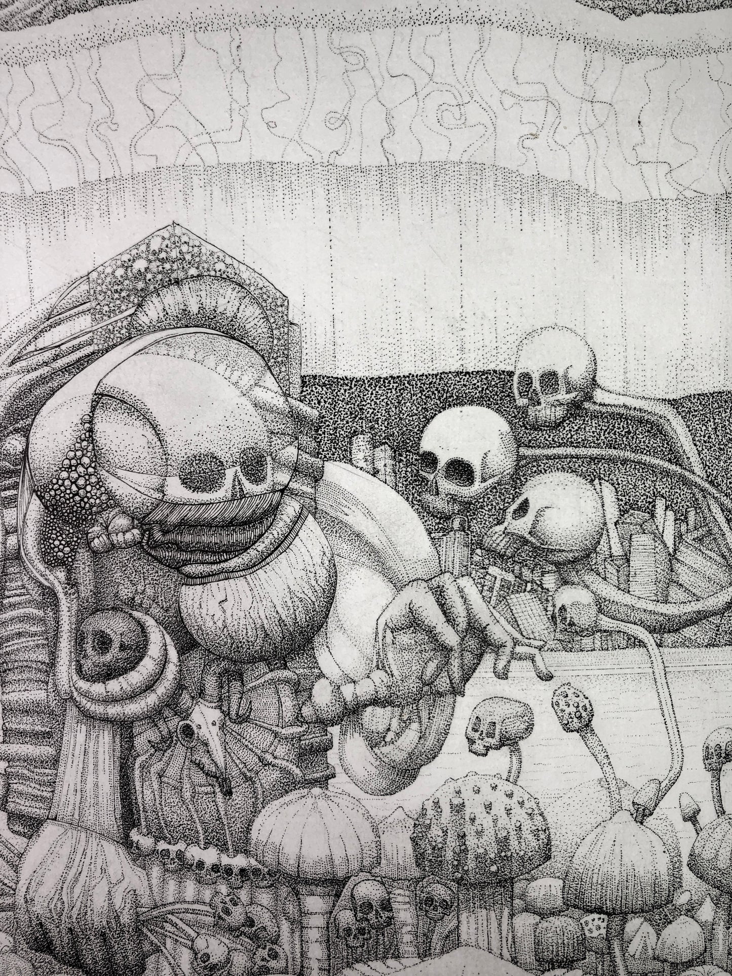 The Skull Collector [2024]