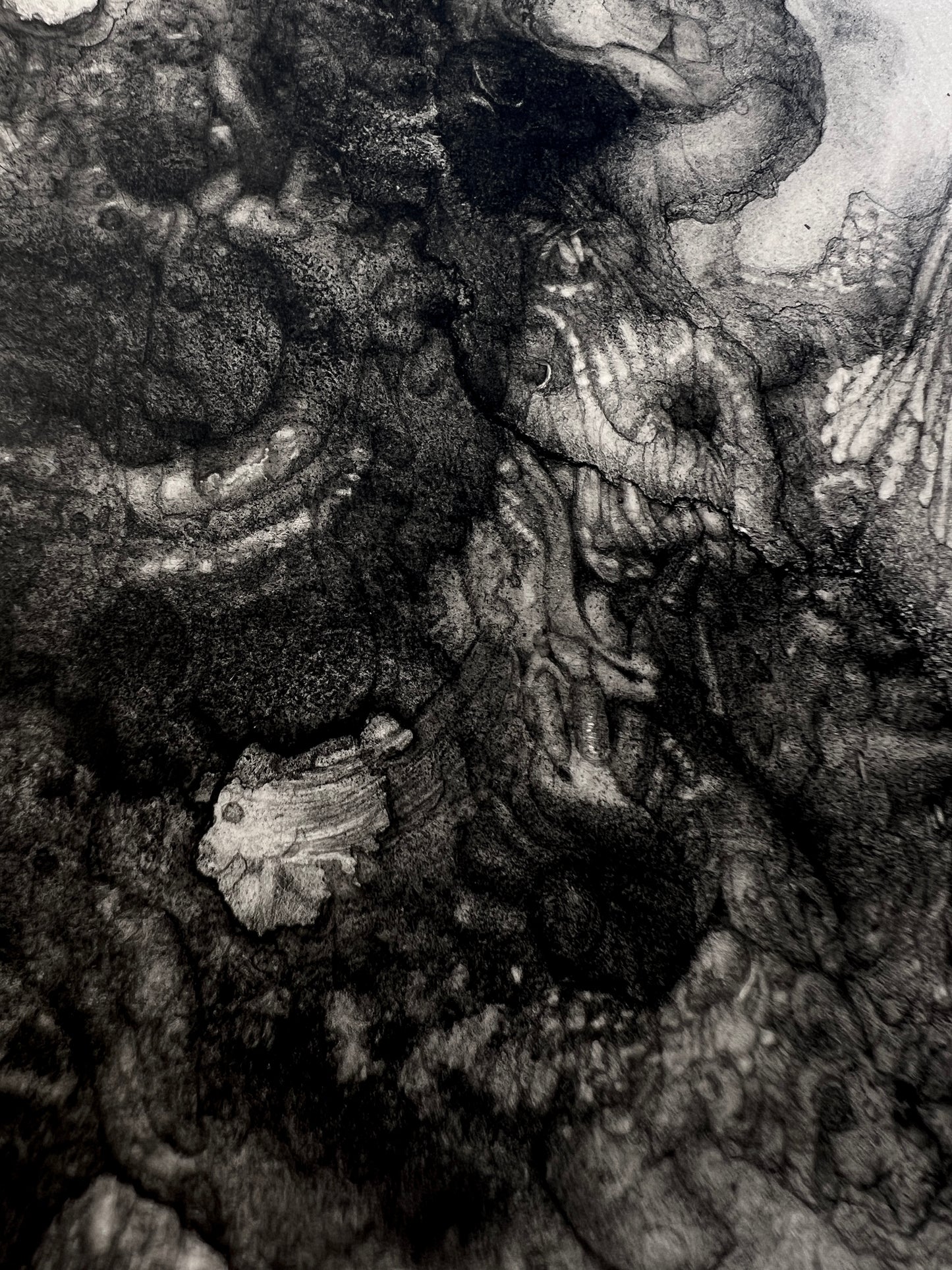 Phantasmagoriamorph [2025]