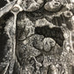 The Carbon Symphony **Original Artwork**