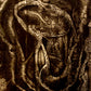Down the Xeno Hole