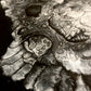 Errant Morphology VIII - Nightshademorph **Original Artwork**